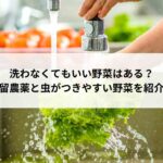 洗わなくてもいい野菜はある？野菜別残留農薬と虫がつきやすい野菜を紹介！